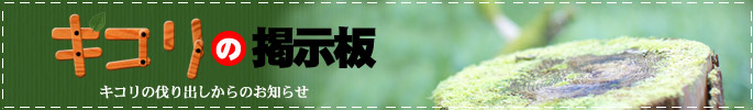 キコリの切り出しからのお知らせ